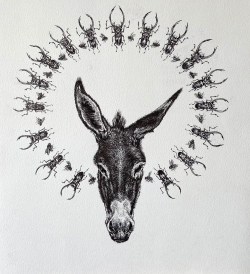 They called me Superstar